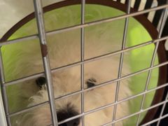 -动物缘宠物医院·骨科·猫科(西二环店)