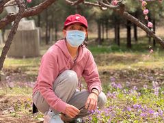 -永定河休闲森林公园