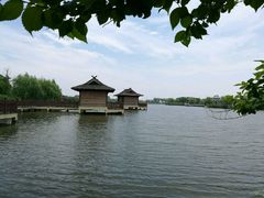 -杭州湾海上花田景区