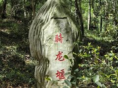 -上海佘山国家森林公园天马山园