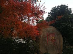 -吴山景区