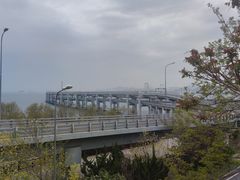 -星海湾跨海大桥