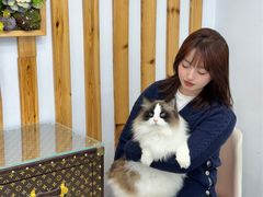 -青奢宠物·青奢猫舍