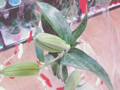 -碧乐城(无锡梁溪店)