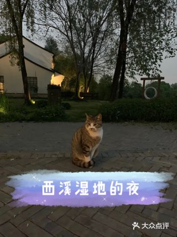 四月去杭州西溪湿地寻找春天!