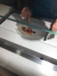 -朵莉丝希腊冻酸奶