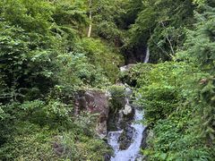-东天目山风景区