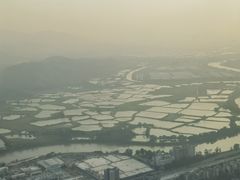 -瑞吉酒店·The Drawing Room闲逸廊·云端下午茶·夜奢Whiskey