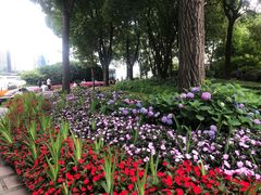 -北外滩滨江绿地