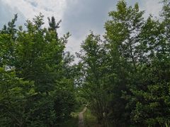 -桤木河湿地公园