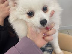 -怪兽屋·羊驼·猫咖·狗咖(俊华广场店)