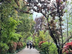 -虞山风景区