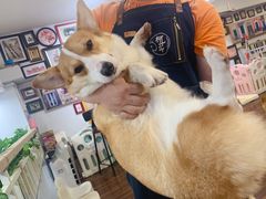 -柯斗斗主题餐厅·狗咖·围炉煮茶·茶饮(国瑞升平里店)