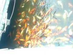 -南戴河国际娱乐中心