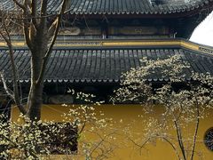 -西园戒幢律寺