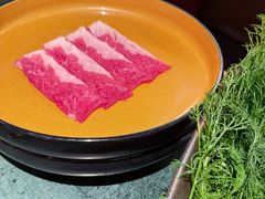 -牛New寿喜烧(金鹰世界店)