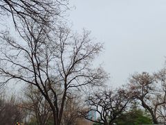 -玲珑塔公园