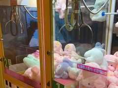 -不可思议减压馆·解压博物馆·摔碗发泄·团建定制