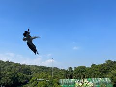 -深圳野生动物园