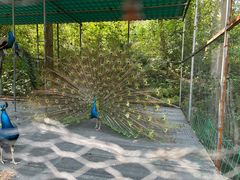 -福建鲤鱼洲酒店