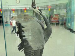 -吉林省自然博物馆