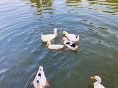 -永阳公园