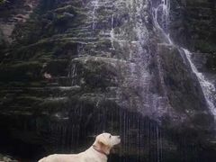 -鹿院坪生态旅游景区