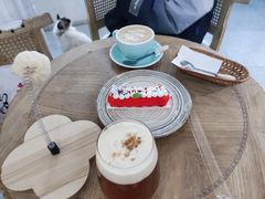 -共舞时光猫咖·狗咖(新街口店)