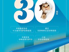 -北京观赏动物医院·24小时大型综合·猫专科·异宠专科