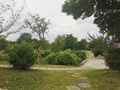 -鹅湖玫瑰文化园