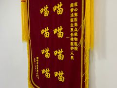 -美联众合动物医院(·中兽医·疑难杂症·严家桥分院)