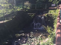 -藏龙百瀑风景区