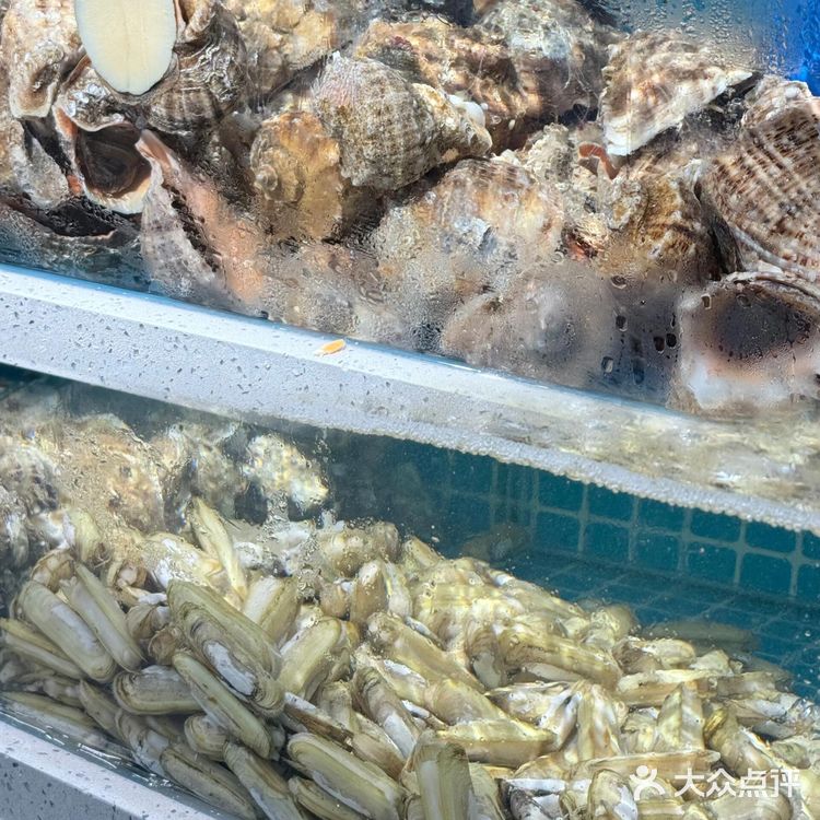 顺百意·海鲜大馅饺子,鸽子窝公园旁的海鲜宝藏