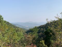 -广州白江湖森林公园