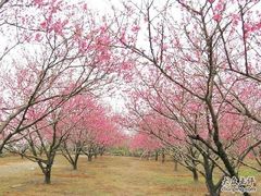 -常德桃花源景区