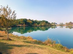 -金银湖国家城市湿地公园