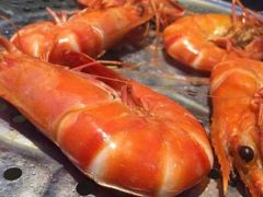 -四海蒸鲜蒸汽海鲜自助(北戴河店)