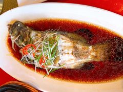 -碧丽宫大酒店(召稼楼店)