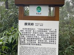 -玉苍山国家森林公园