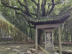 -兰亭风景区