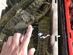 -新河畔海鲜酒楼(虎门店)