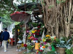 -Smugglers Inn, Hong Kong