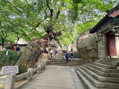 -青岛崂山太清宫