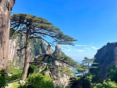 -黄山风景区