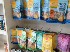 -宠颐生动物医院·猫科·心脏科(海口分院)