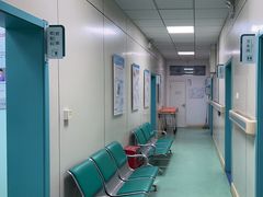 -北京观赏动物医院·24小时大型综合·猫专科·异宠专科
