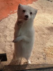 -Zoolung Zoolung动物主题公园(海信广场店)