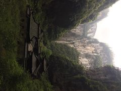 神鹰天坑-重庆武隆天生三桥风景区-神鹰天坑