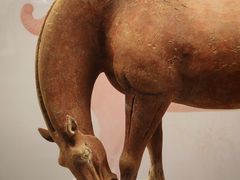 -衢州市博物馆