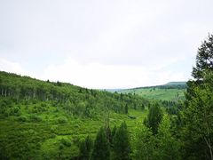 -阿尔山市大兴安岭奥伦布坎景区